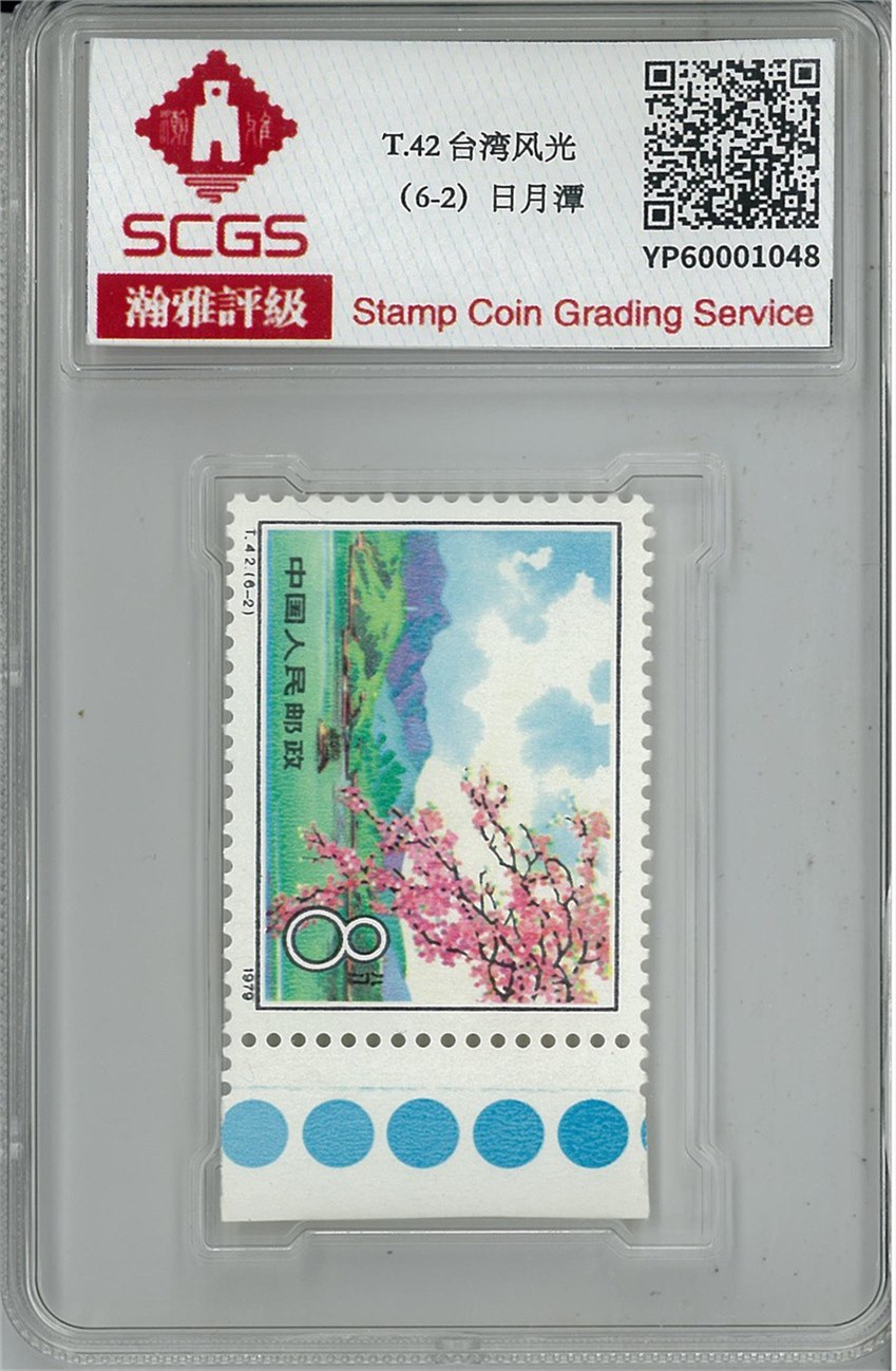 YP60001048